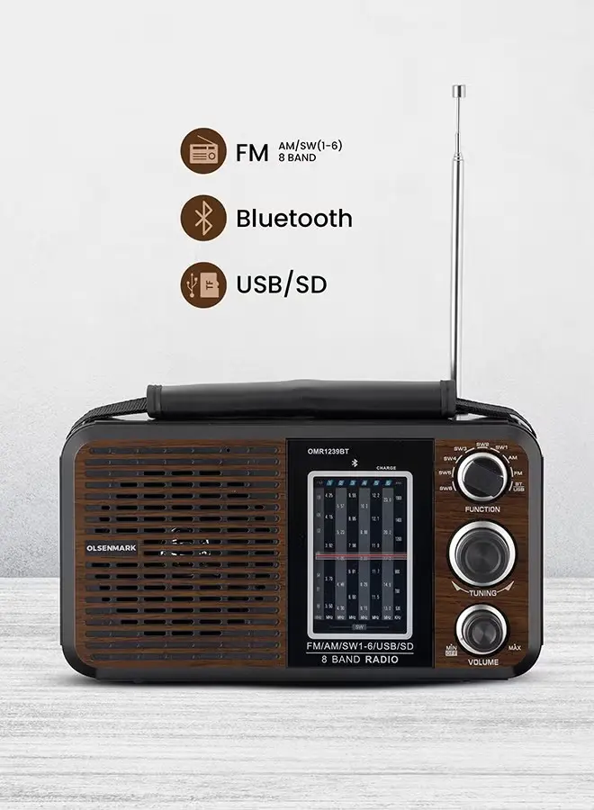 راديو ومشغل موسيقى FM/AM/SW محمول مزود بمنفذ USB/SD/BT